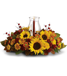 Sunflower Centerpiece from Schultz Florists, flower delivery in Chicago